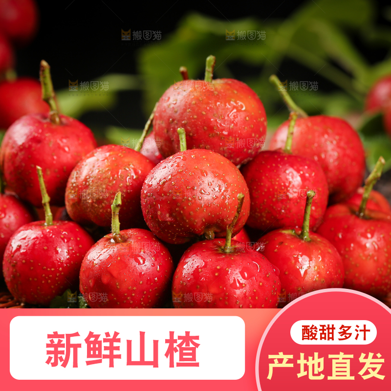 深底上的新鲜山楂