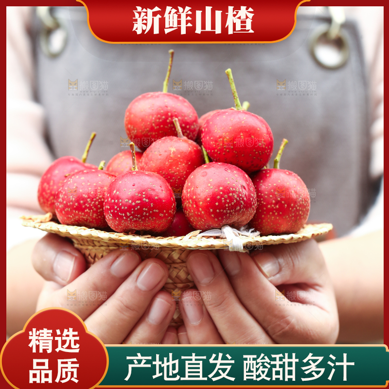 手里拿着新鲜山楂