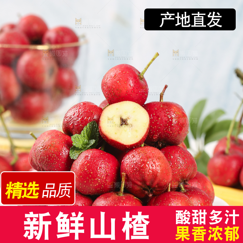 浅底上的新鲜山楂