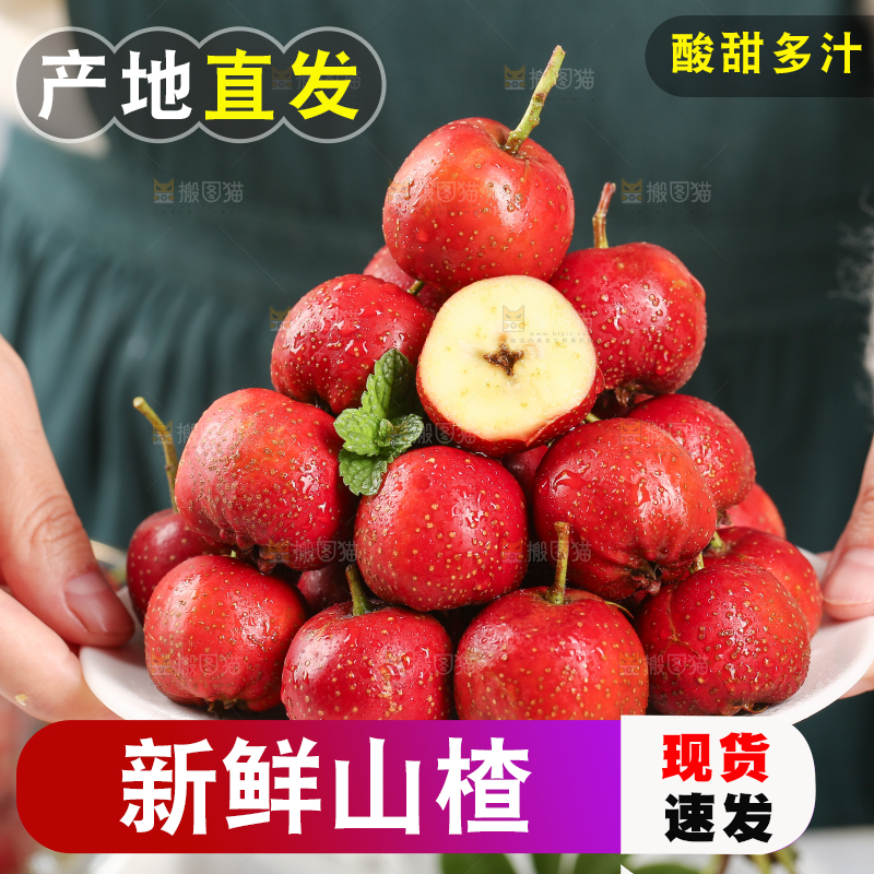 浅底上的新鲜山楂