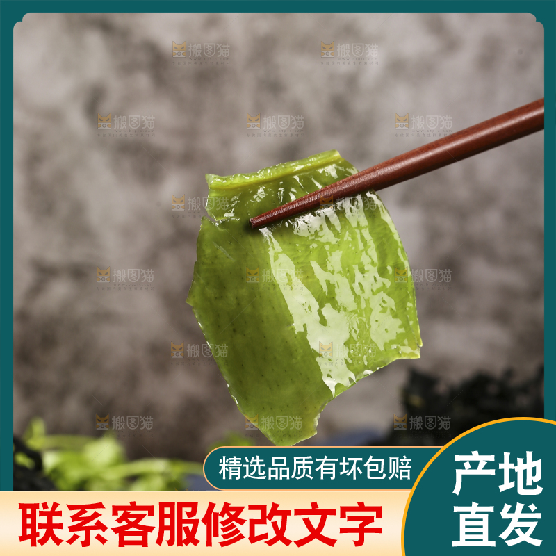 深底上的裙带菜