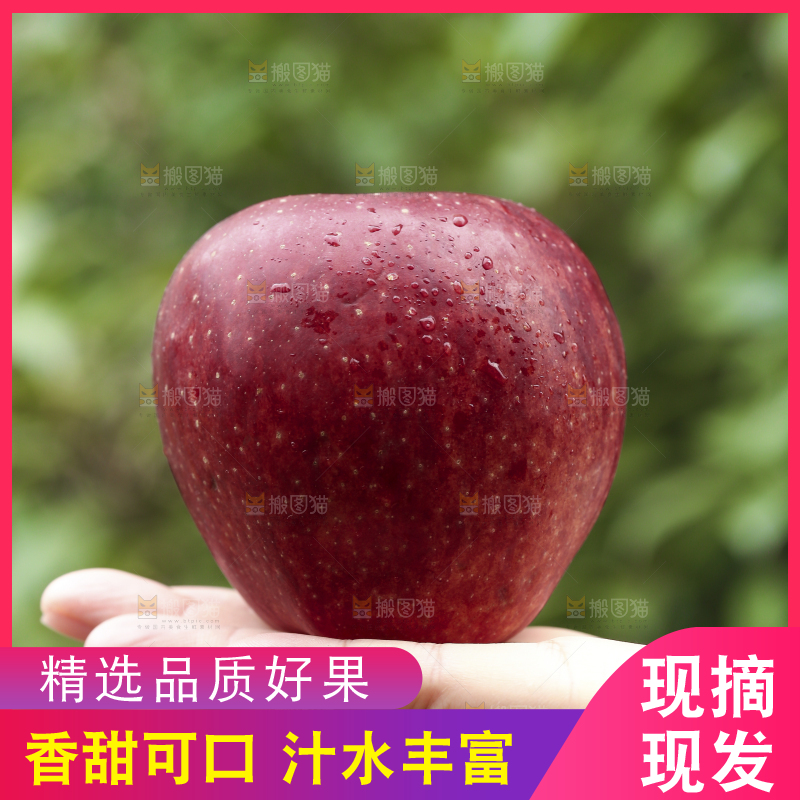 手里拿着花牛苹果
