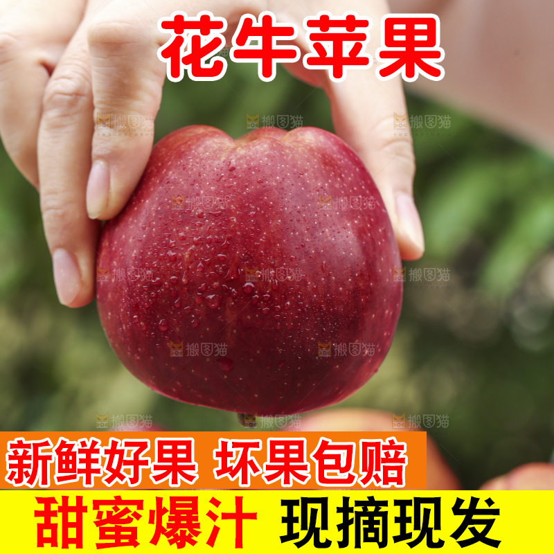 手里拿着花牛苹果