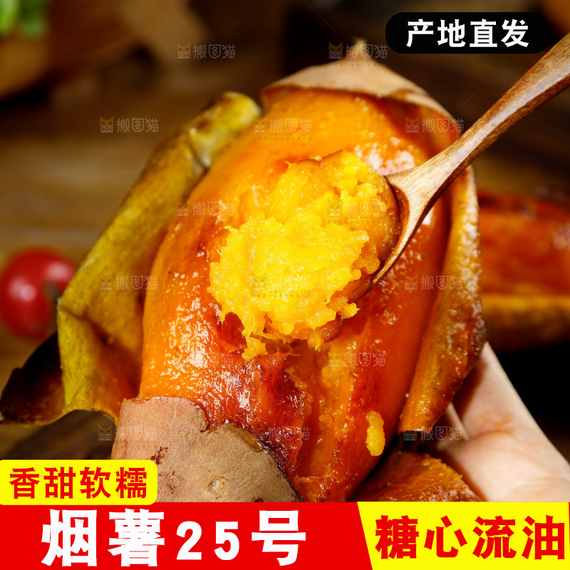 深底上的烟薯25号