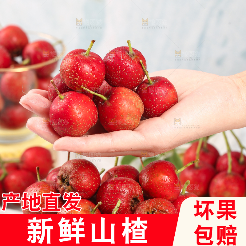 浅底上的新鲜山楂