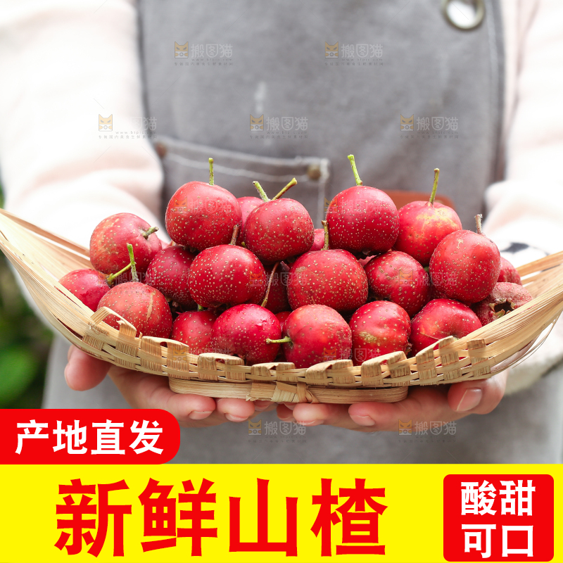 手里拿着新鲜山楂