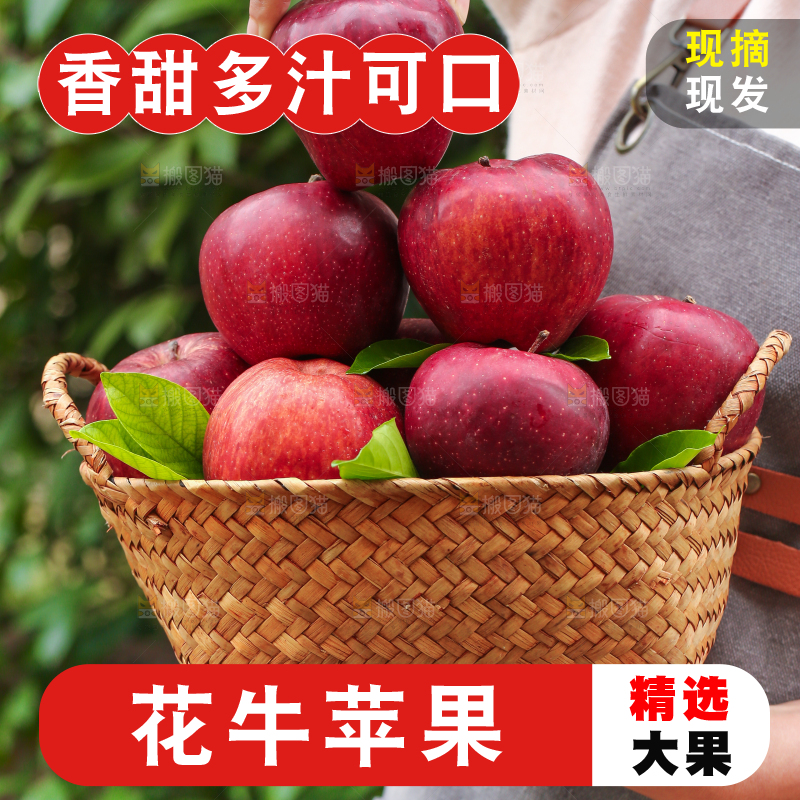 手里拿着花牛苹果