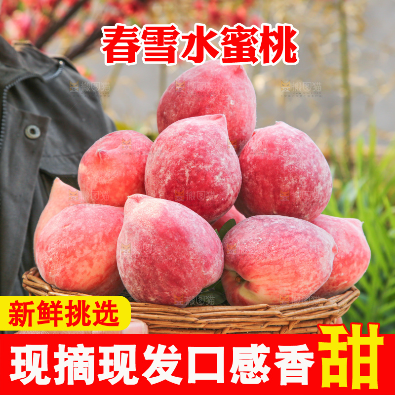 手里拿着春雪水蜜桃