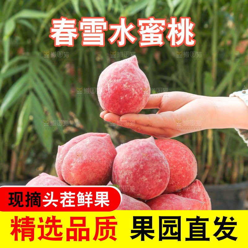 手里拿着春雪水蜜桃