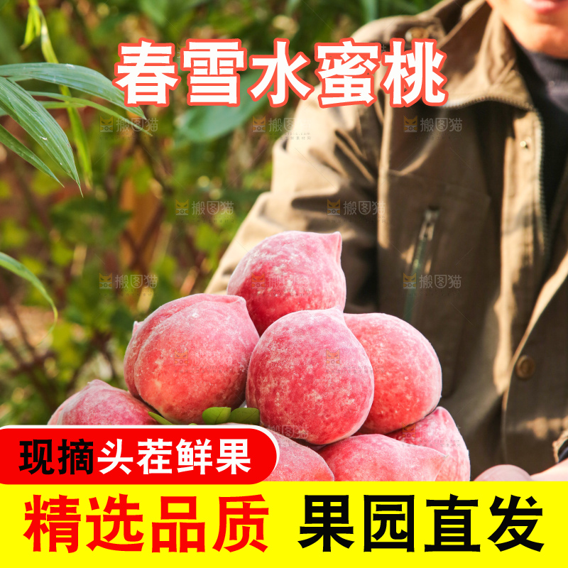 手里拿着春雪水蜜桃
