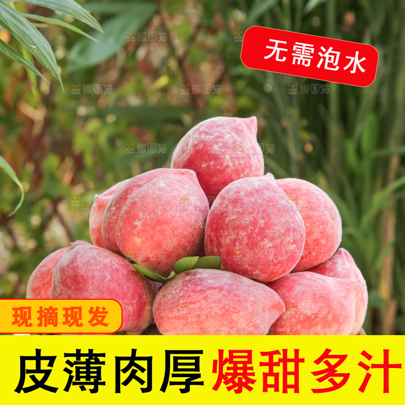 手里拿着春雪水蜜桃