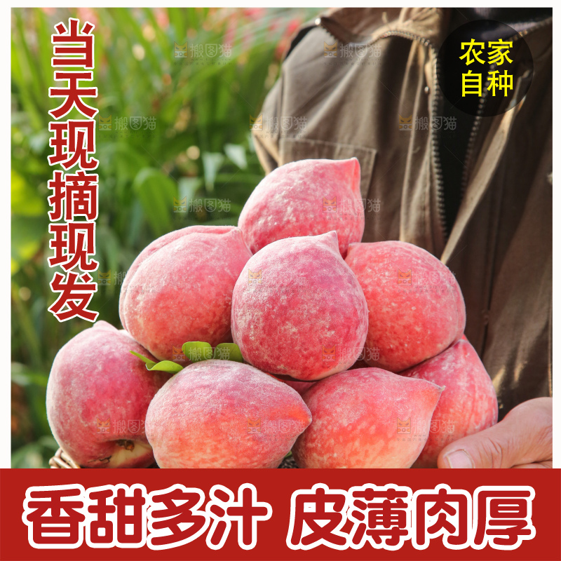 手里拿着春雪水蜜桃