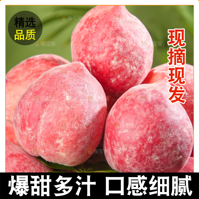 深底上的春雪水蜜桃