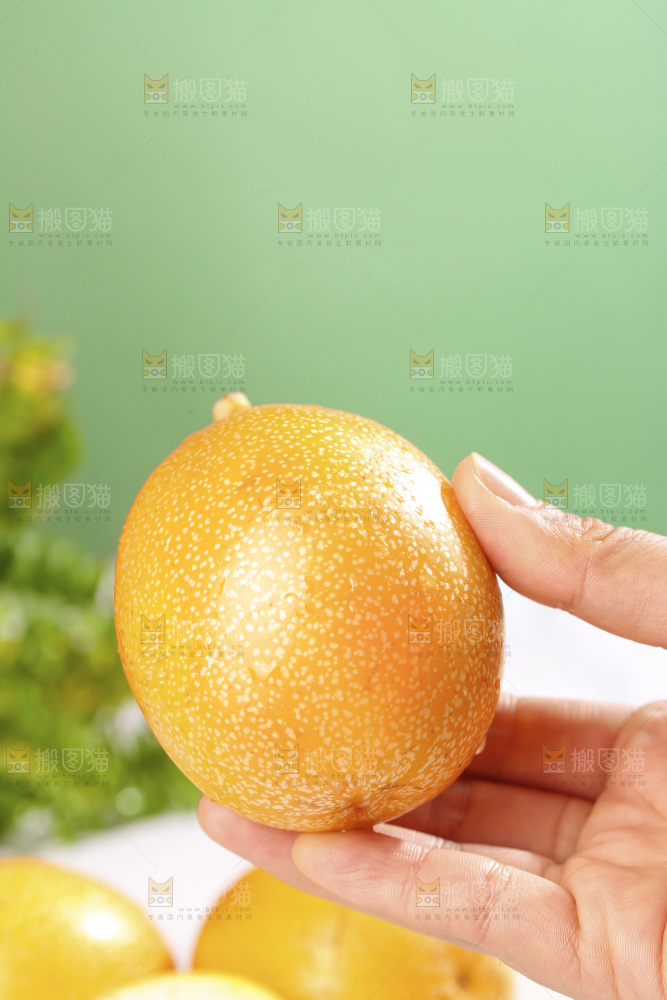 浅底上的热情果