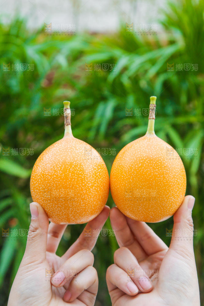 手里拿着热情果
