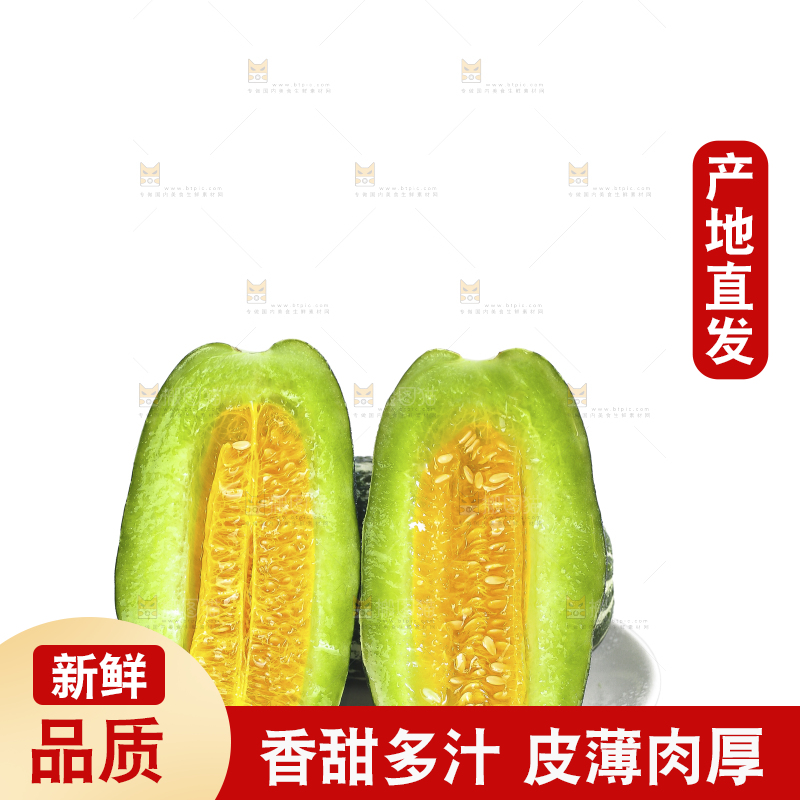 白底上的博洋9号
