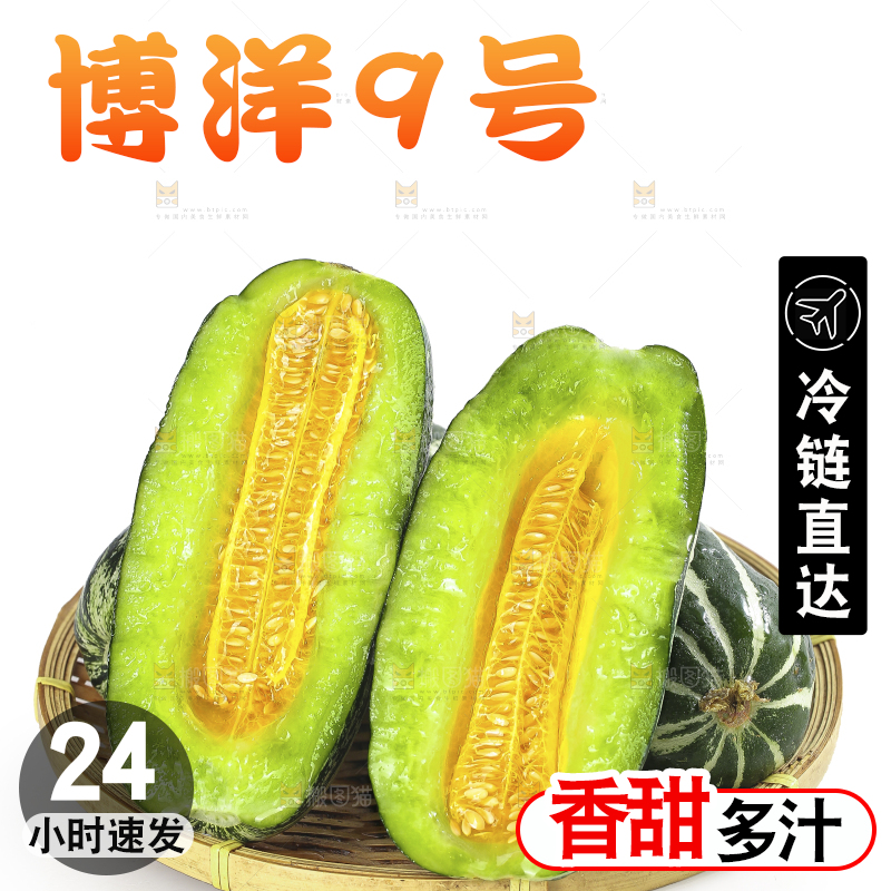 白底上的博洋9号