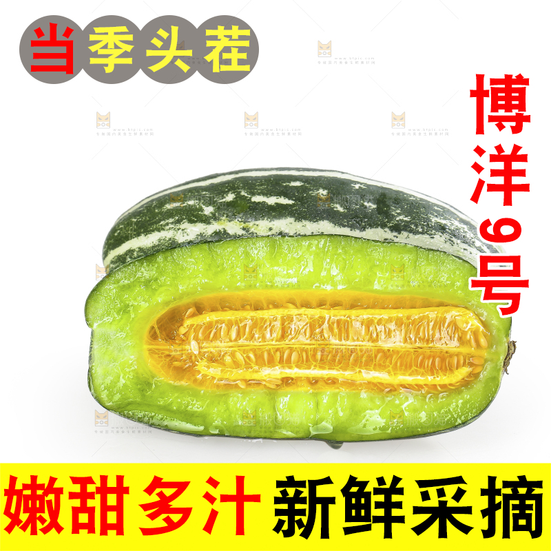 白底上的博洋9号