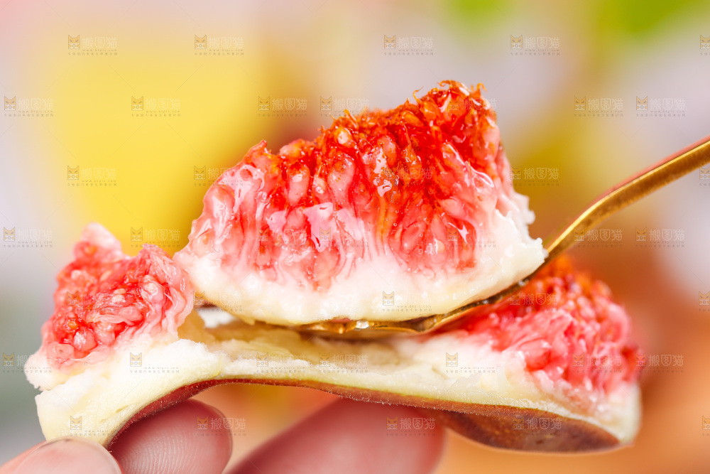 浅底上的无花果
