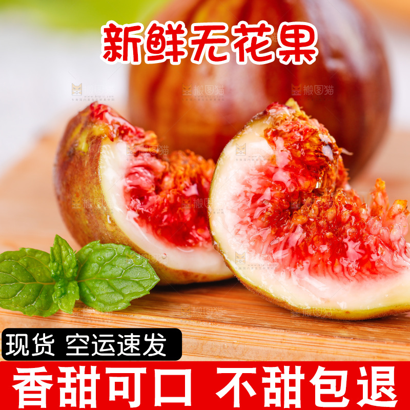 浅底上的无花果