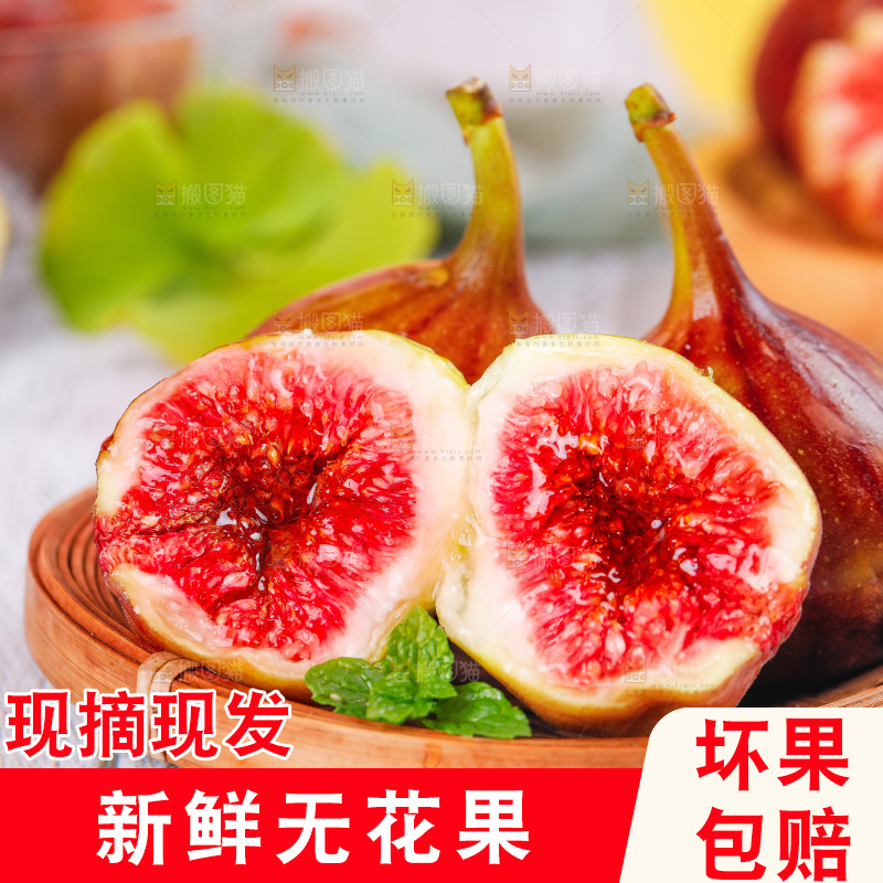 浅底上的无花果