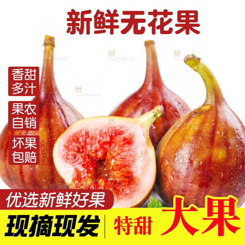 白底上的新鲜无花果