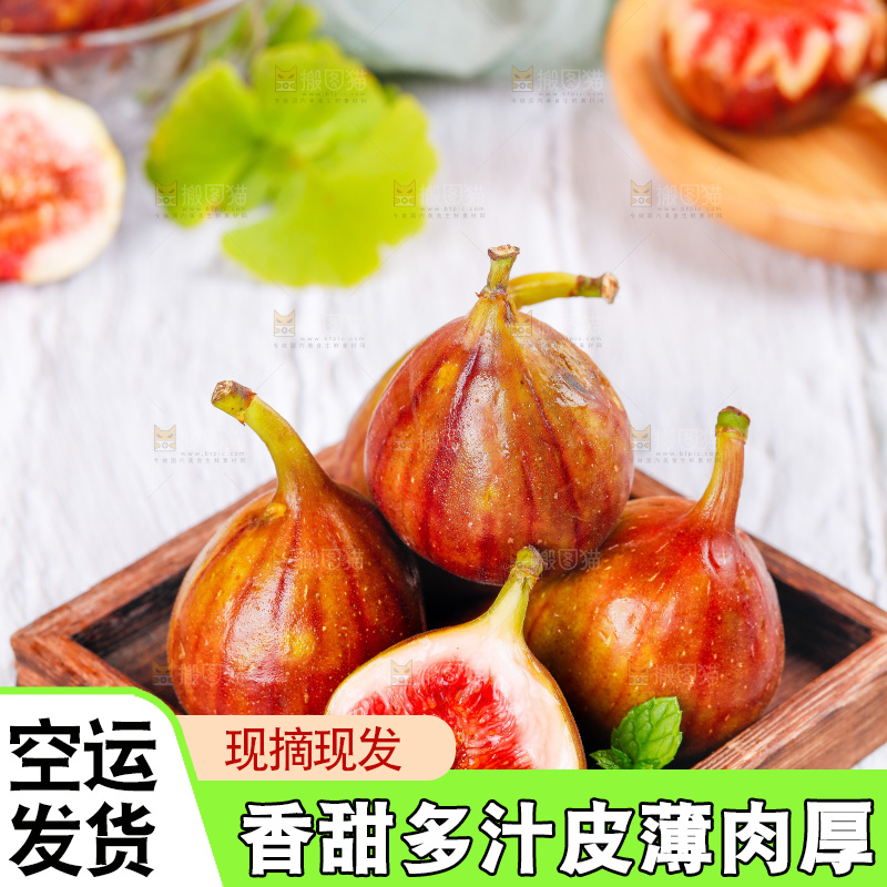 浅底上的无花果