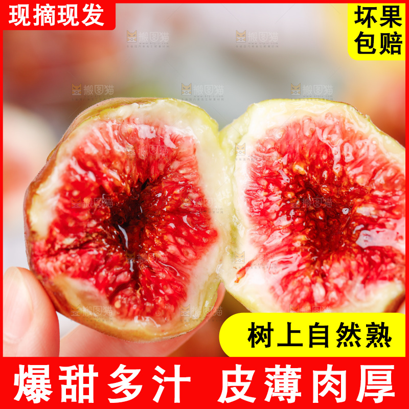 浅底上的无花果