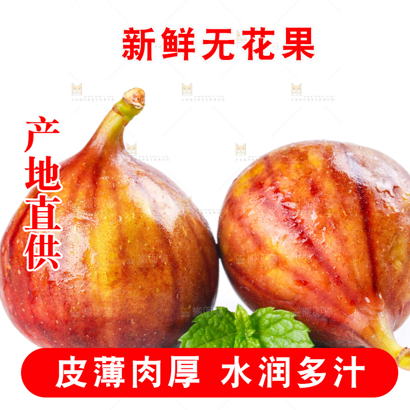白底上的新鲜无花果