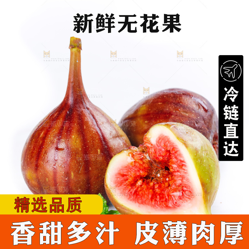 白底上的新鲜无花果