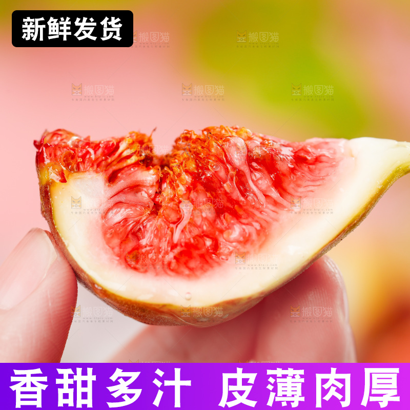 浅底上的无花果