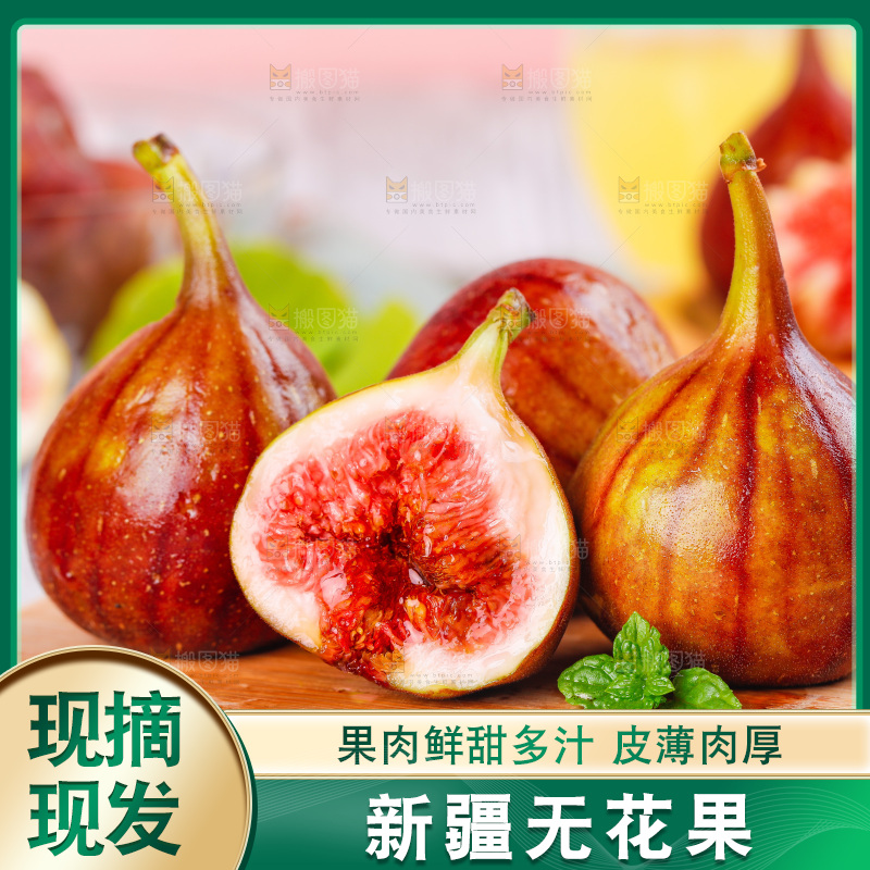 浅底上的无花果