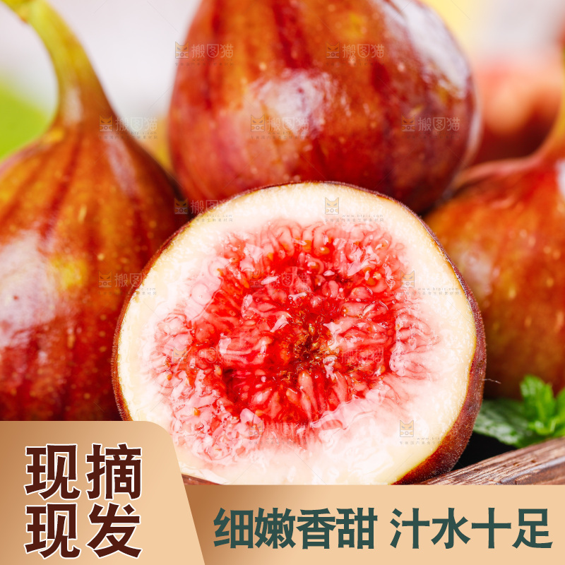 浅底上的无花果