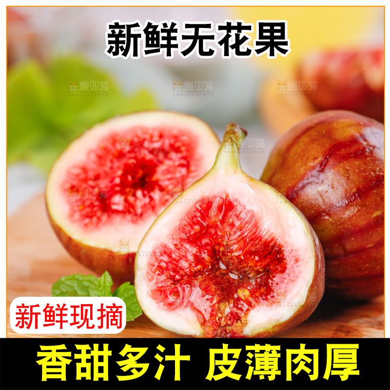 浅底上的无花果