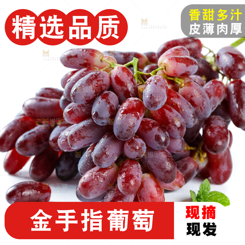 白底上的金手指葡萄