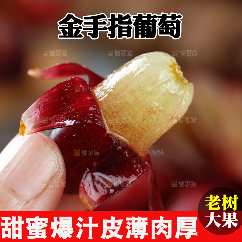 深底上的金手指葡萄
