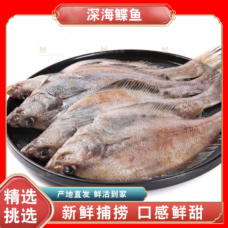 白底上的鲽鱼