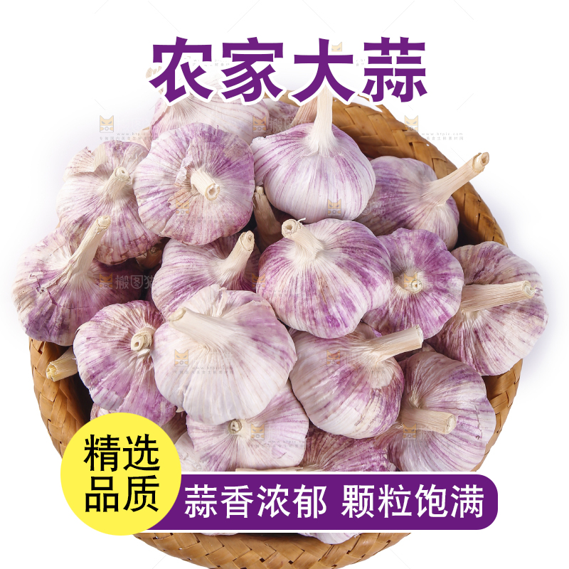 白底上的紫皮干大蒜