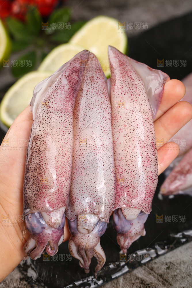 深底上的海兔