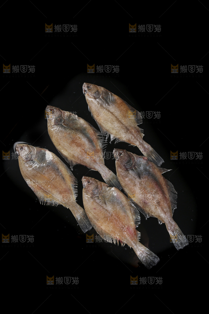 深底上的鲽鱼