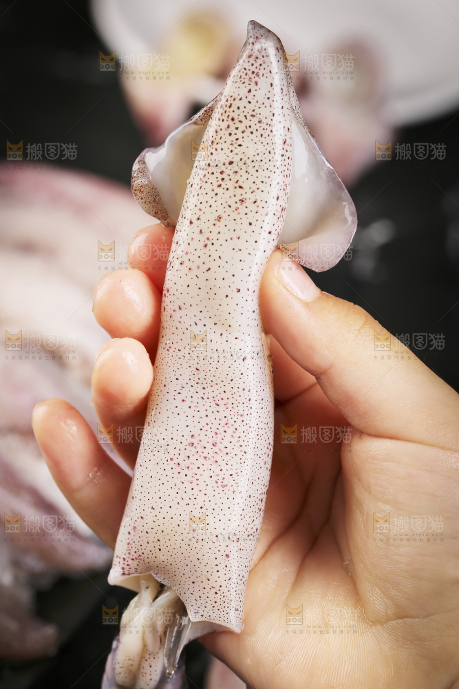 深底上的海兔