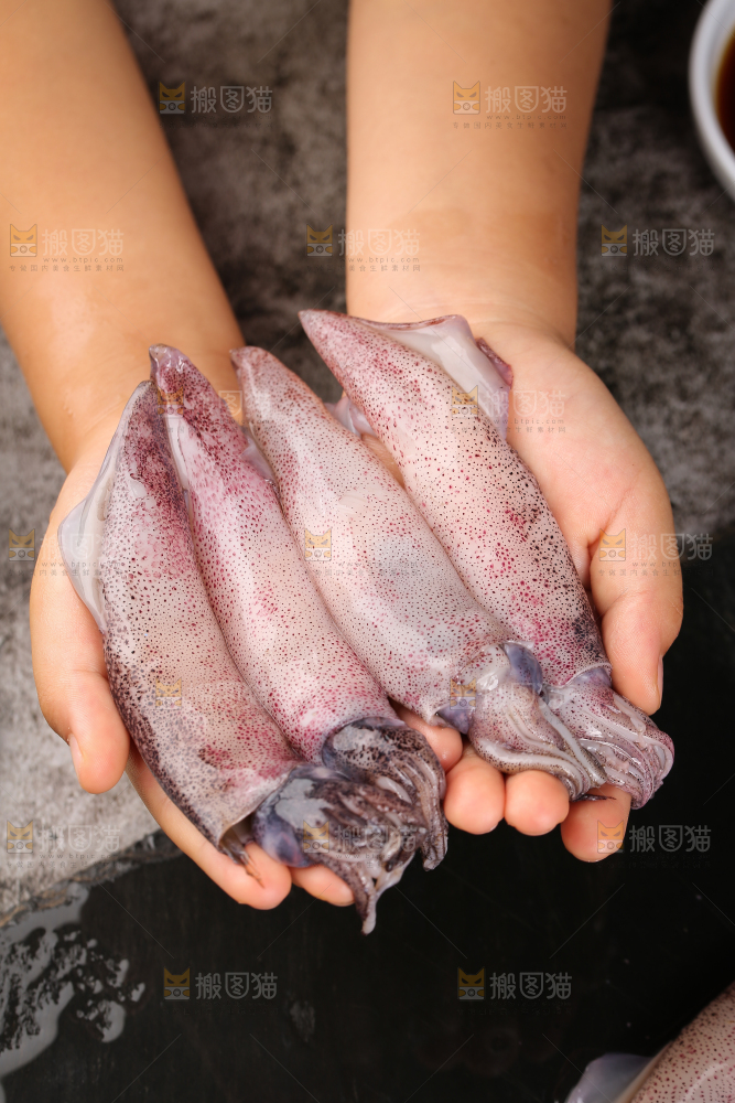 深底上的海兔