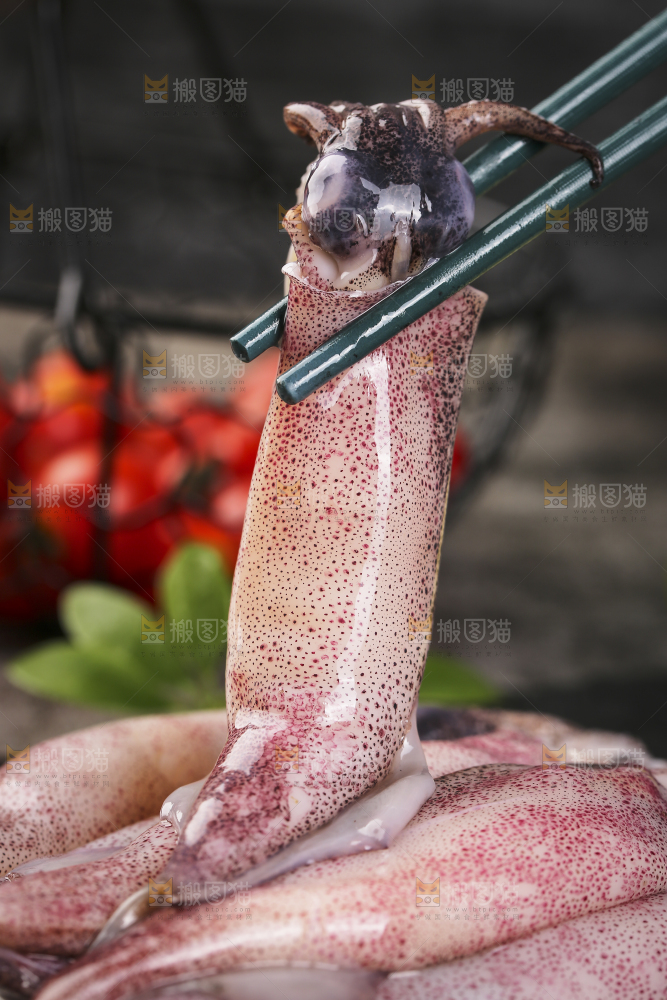 深底上的海兔