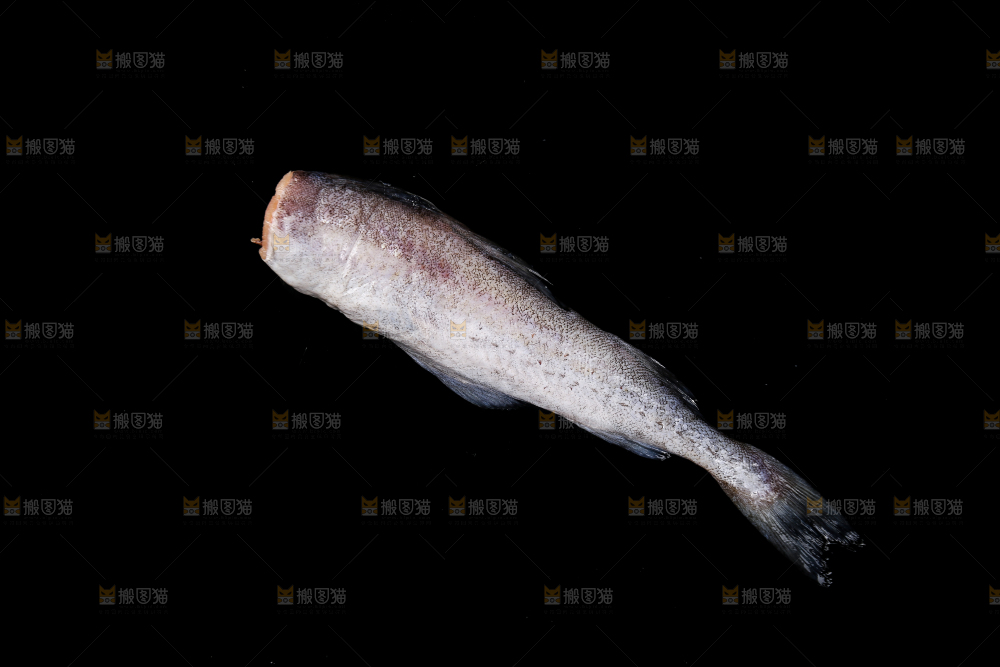 深底上的鳕鱼