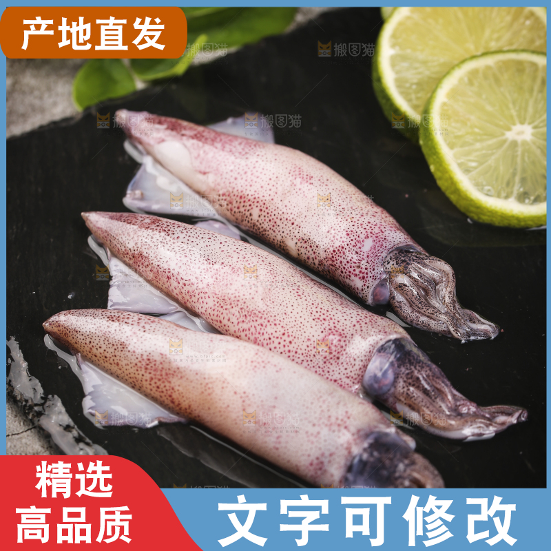 深底上的海兔