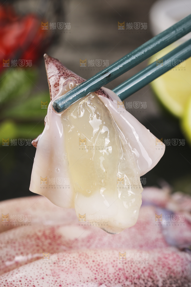深底上的海兔