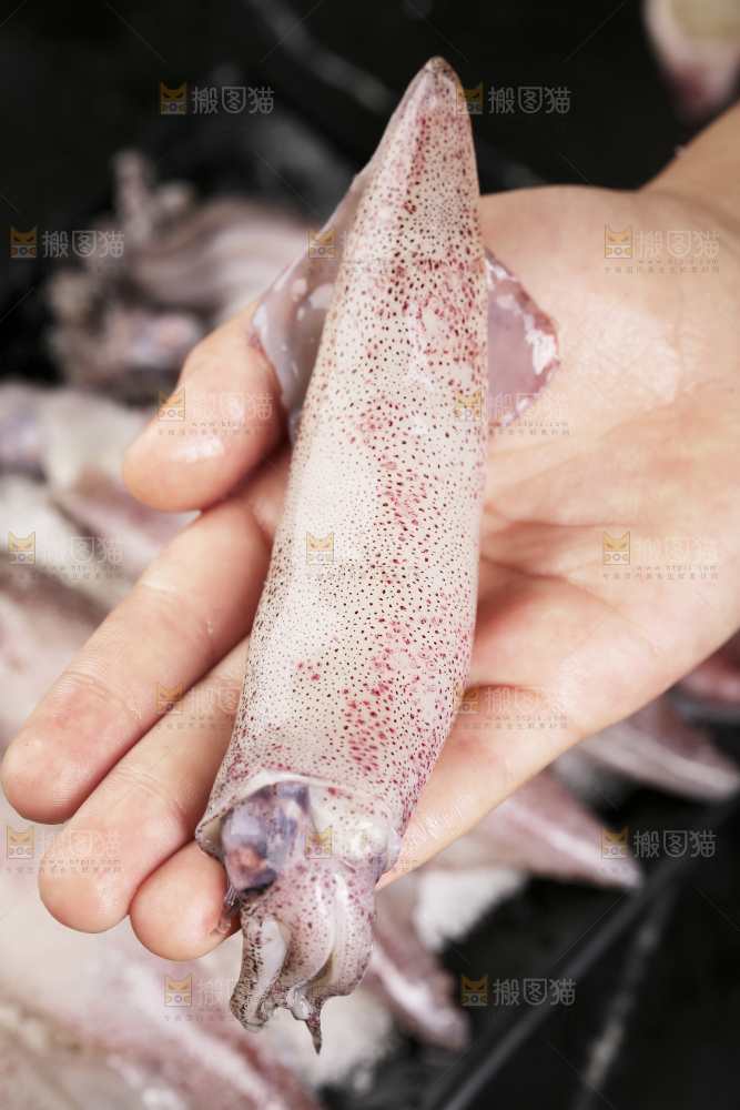 深底上的海兔