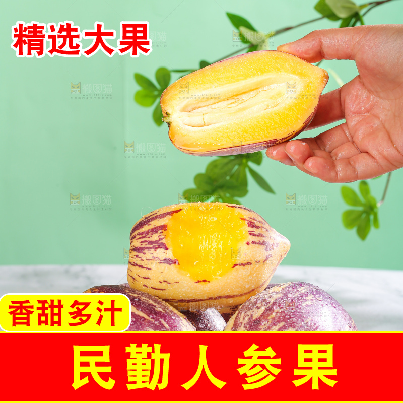 浅底上的民勤人参果