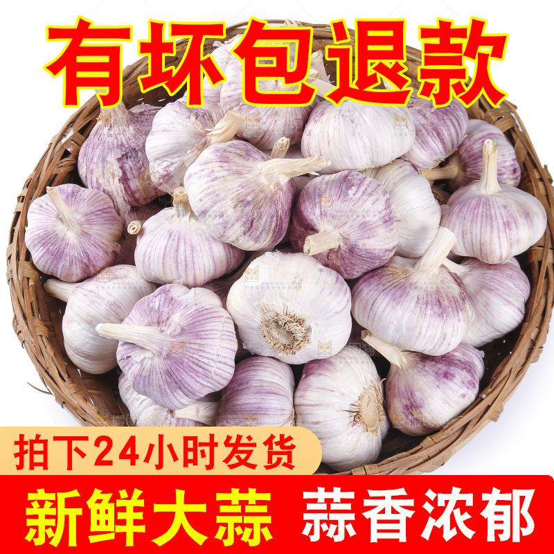 白底上的紫皮干大蒜