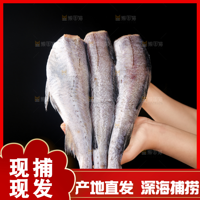 深底上的鳕鱼